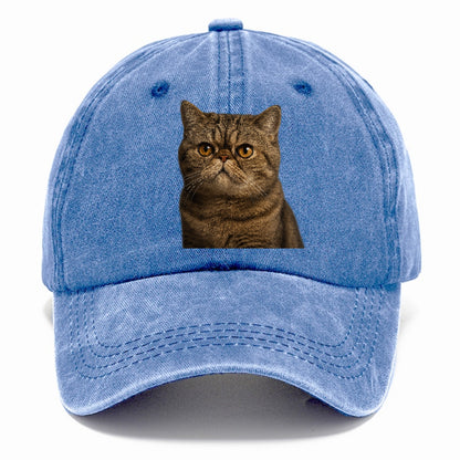 exotic-shorthair-charm Hat