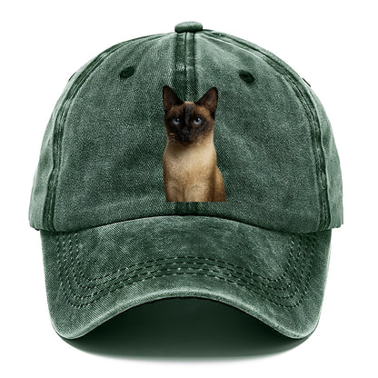 seal-point-siamese-mystical-charm Hat