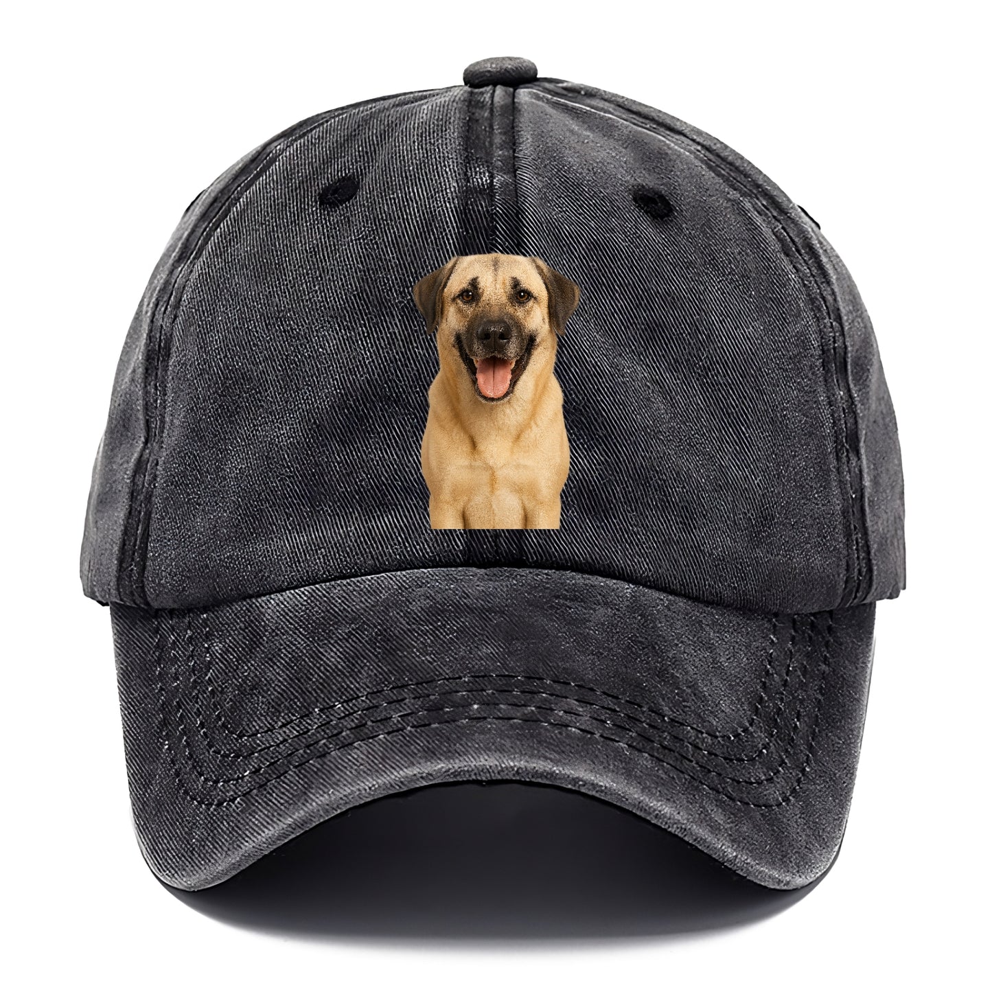 anatolian shepherd portrait design Hat