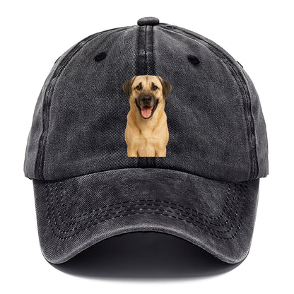 anatolian shepherd portrait design Hat