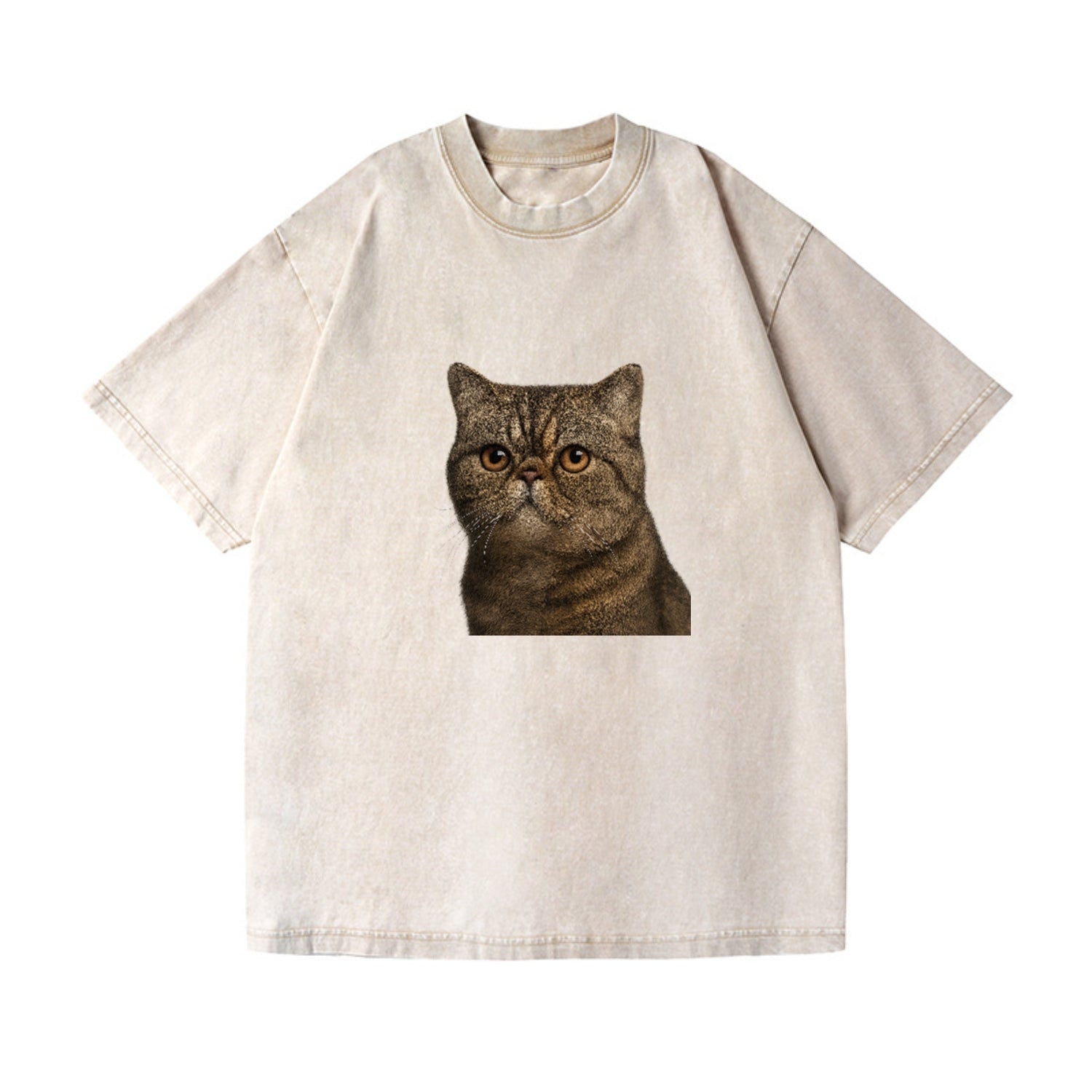 exotic-shorthair-calm-demeanor Hat