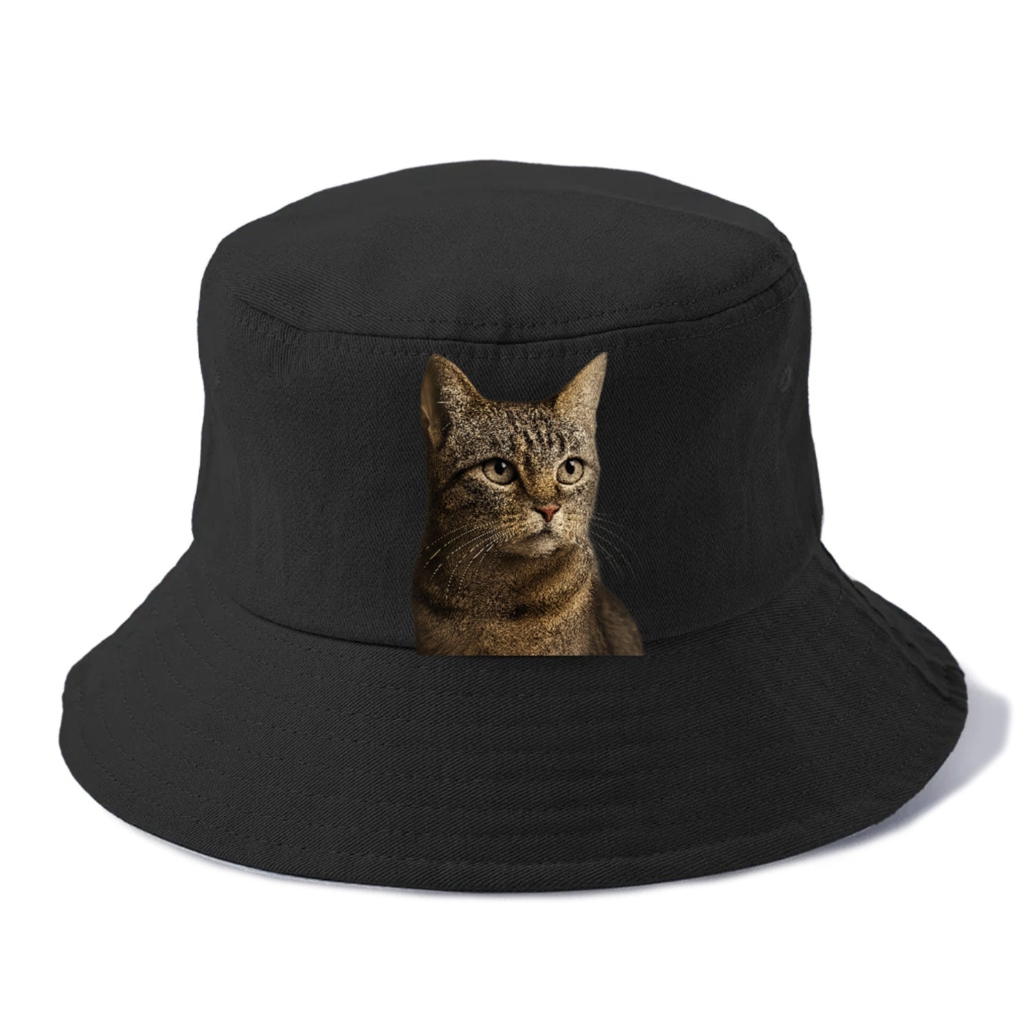 stray-cat-resilient-spirit Hat