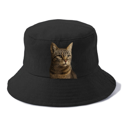 stray-cat-resilient-spirit Hat