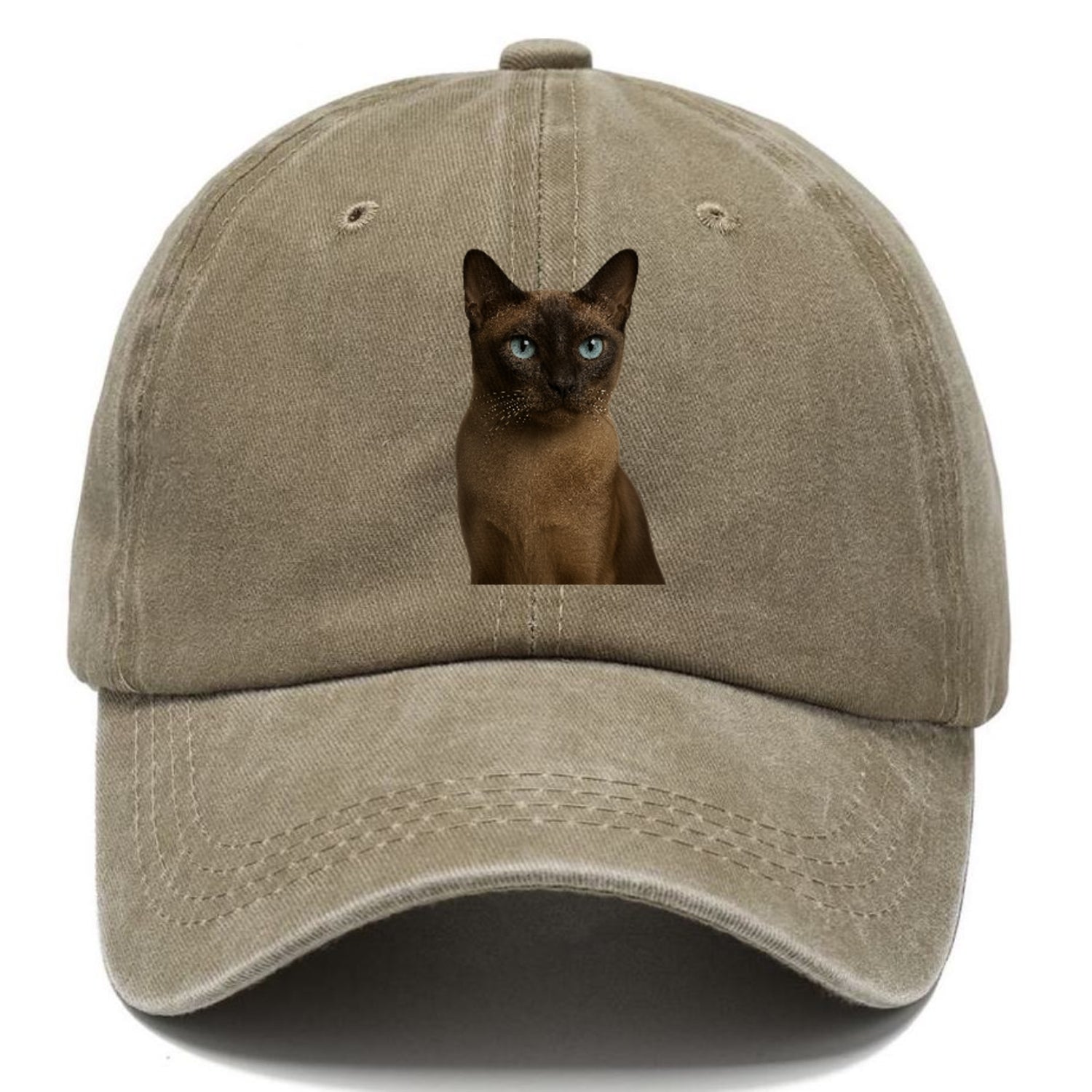 tonkinese-playful-spirit Hat