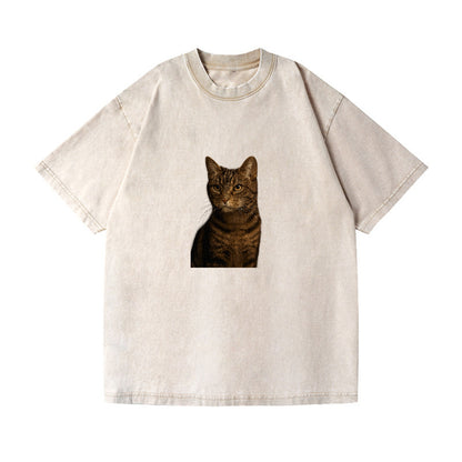 brown-tabby-cozy-charm Hat