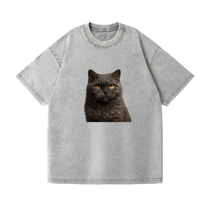 selkirk-rex-curly-charm Hat