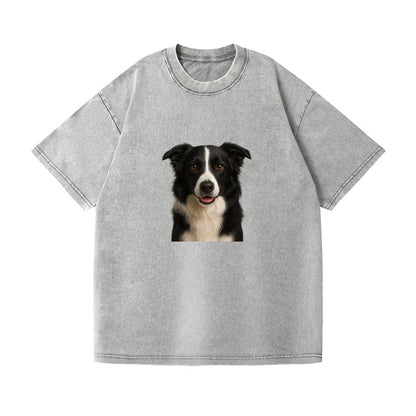 border collie intelligent companion Hat