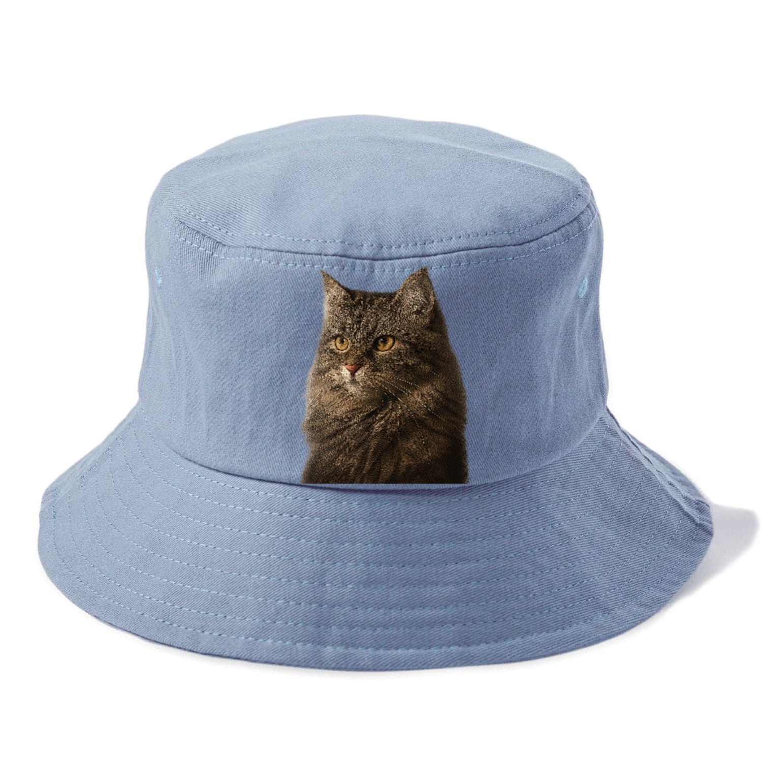 domestic-longhair-graceful-charm Hat