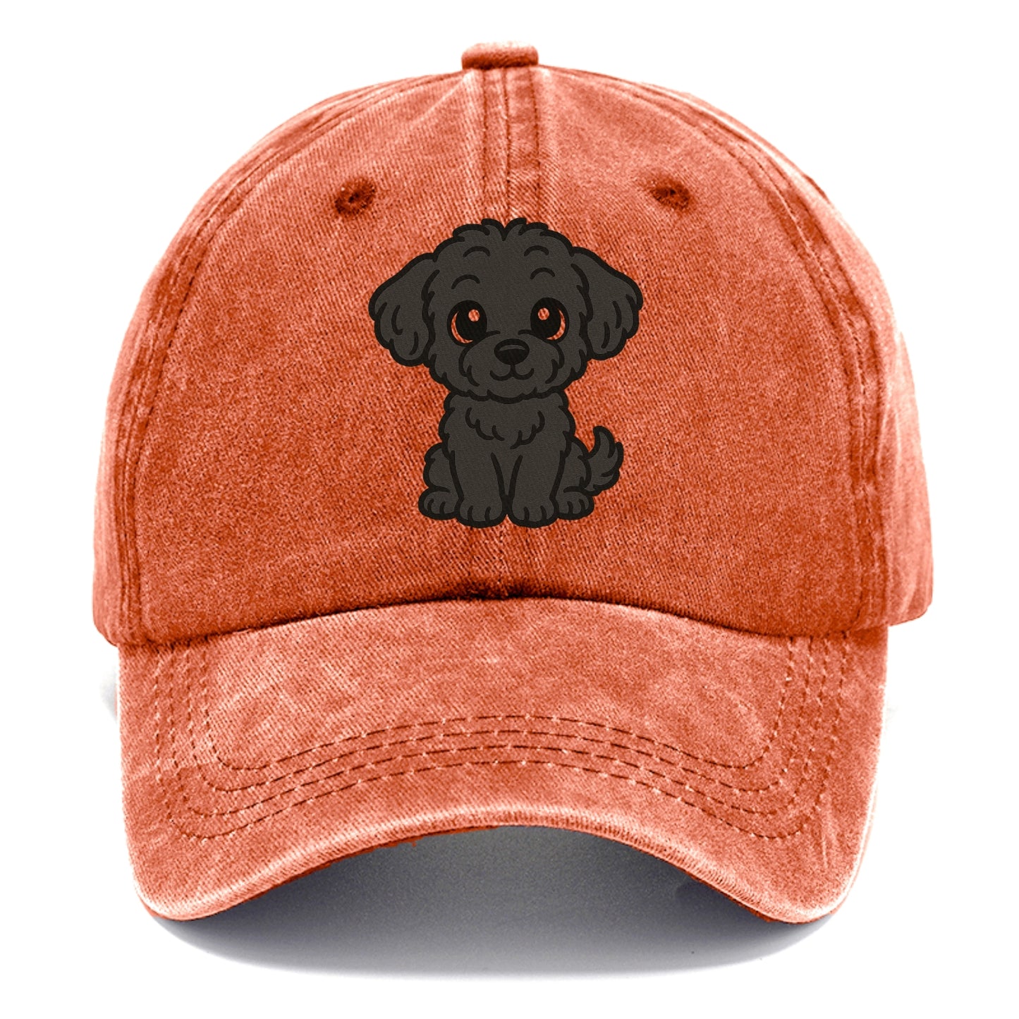 black maltipoo black curly sitting pose portrait design Hat