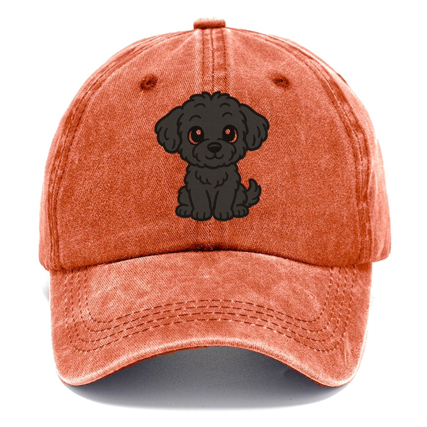 black maltipoo black curly sitting pose portrait design Hat