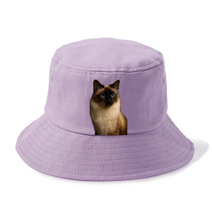 birman-gentle-charm Hat