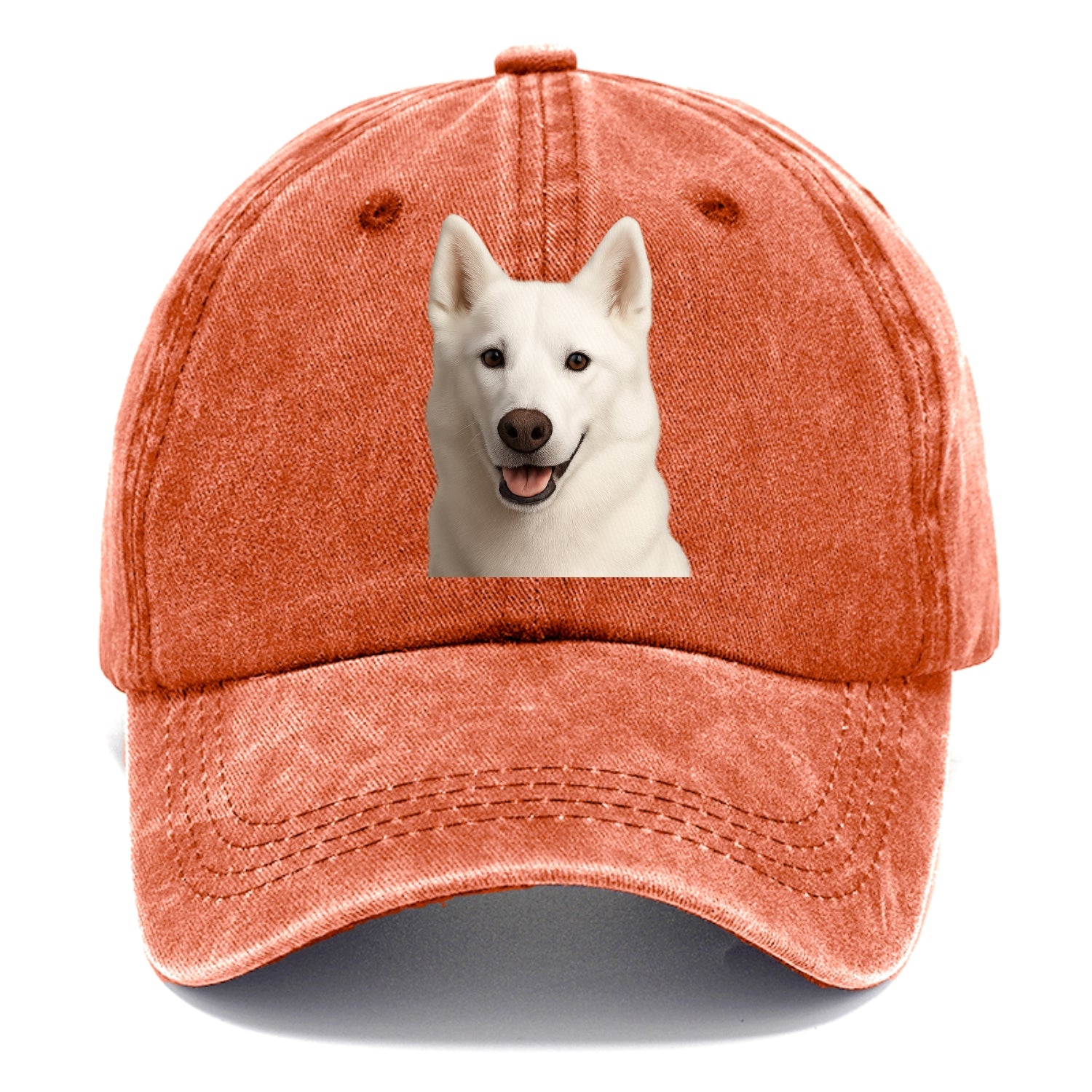 husky arctic adventure Hat