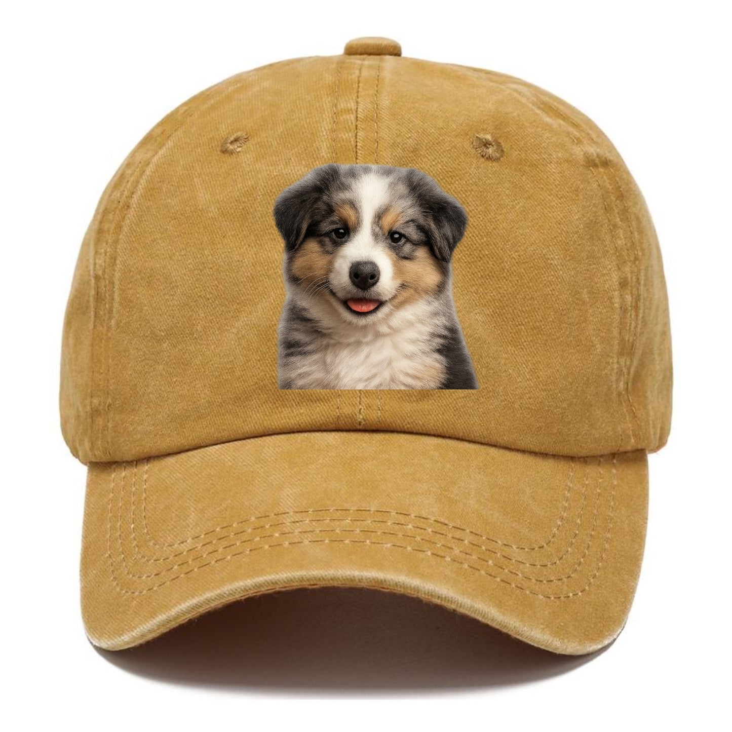 australian shepherd puppy portrait design Hat
