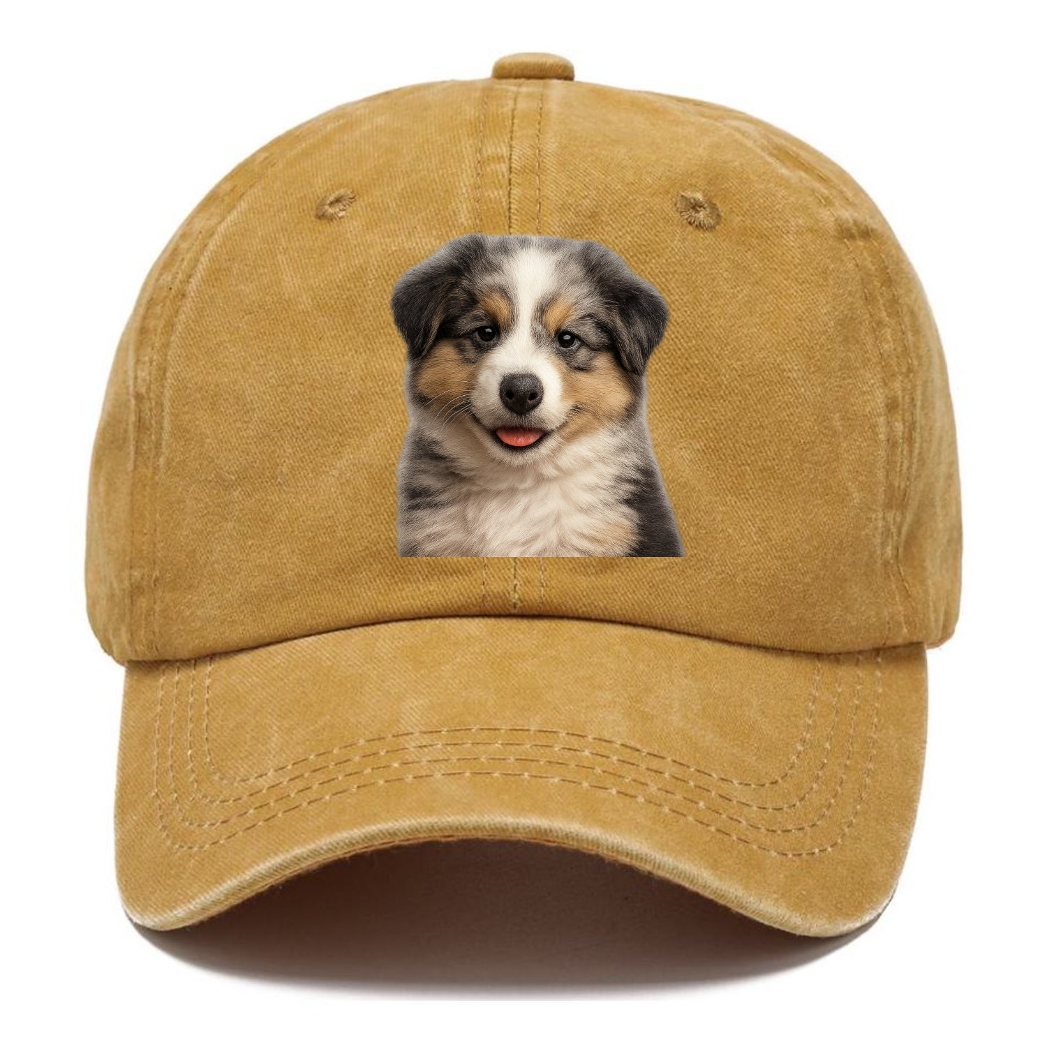australian shepherd puppy portrait design Hat