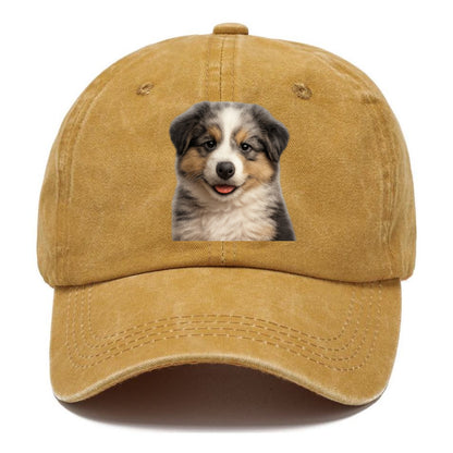 australian shepherd puppy portrait design Hat