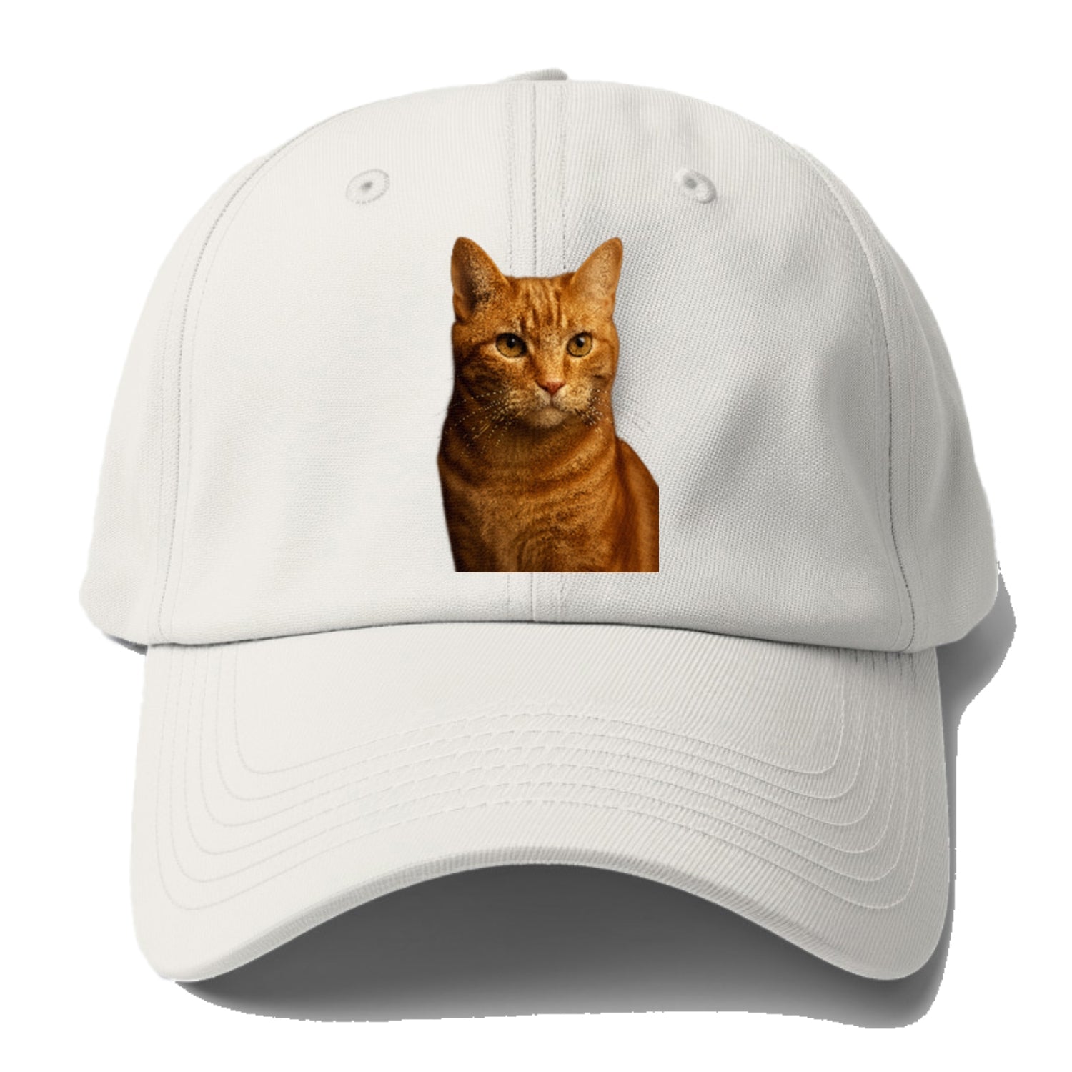 orange-tabby-playful-purr Hat