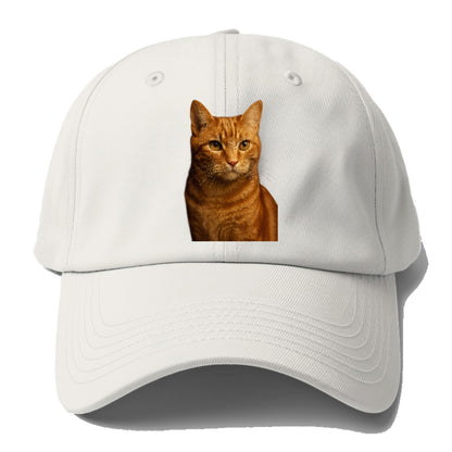 orange-tabby-playful-purr Hat