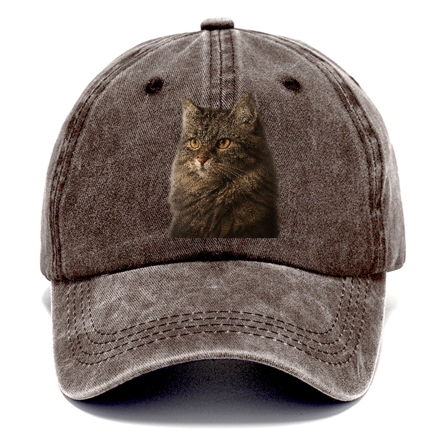 domestic-longhair-graceful-charm Hat