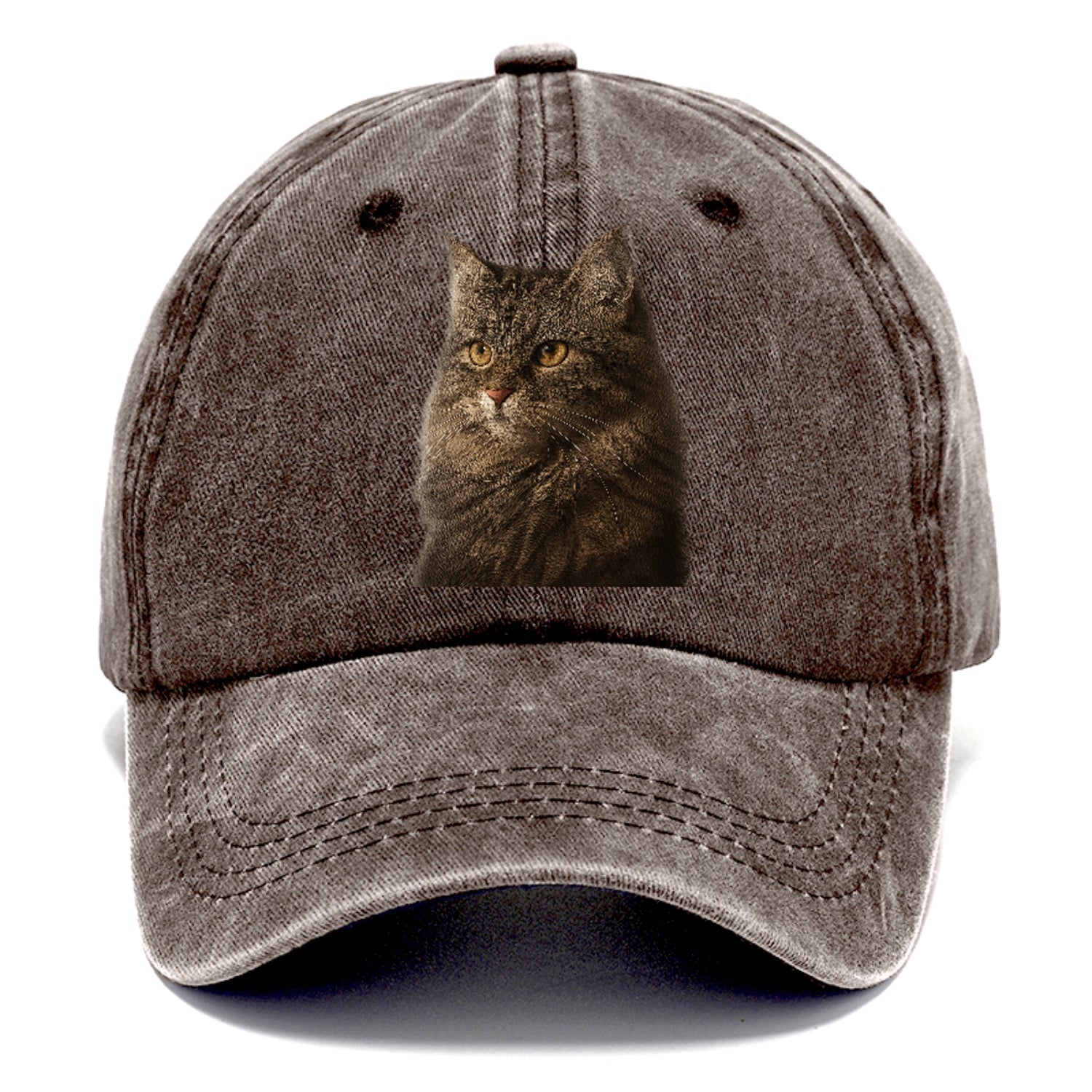 domestic-longhair-graceful-charm Hat