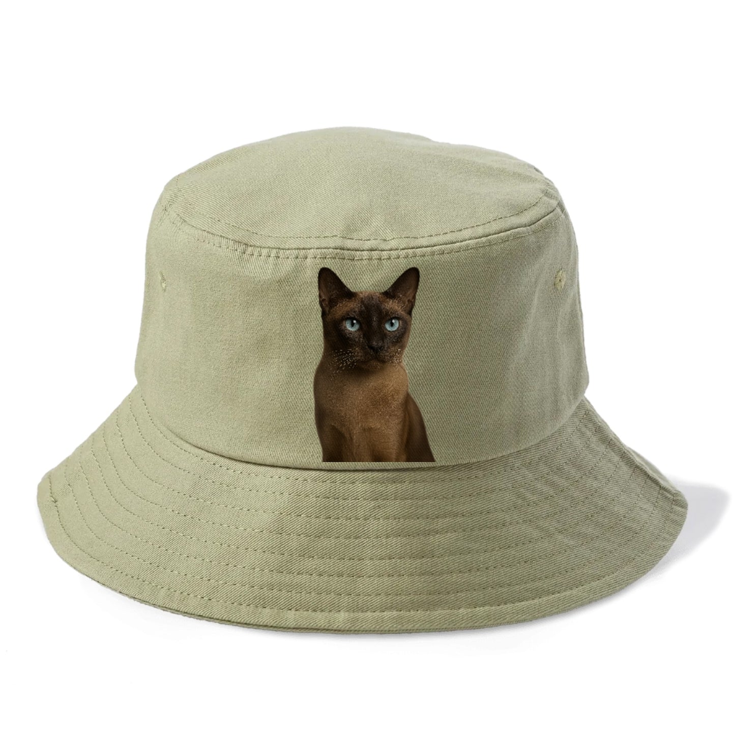 tonkinese-playful-spirit Hat