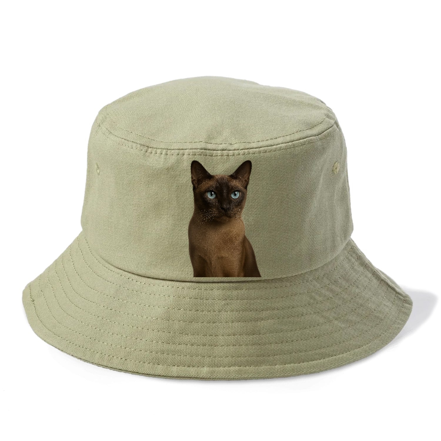 tonkinese-playful-spirit Hat