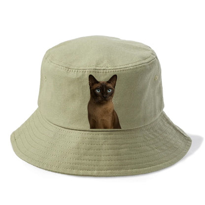 tonkinese-playful-spirit Hat