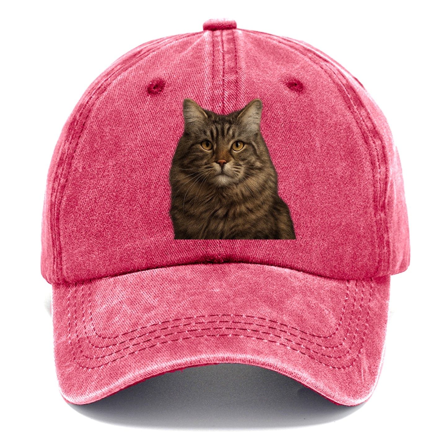 maine coon majestic feline Hat