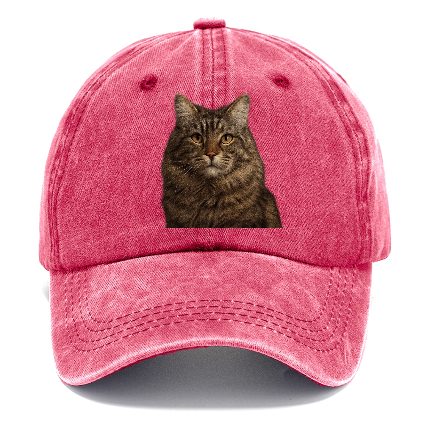maine coon majestic feline Hat