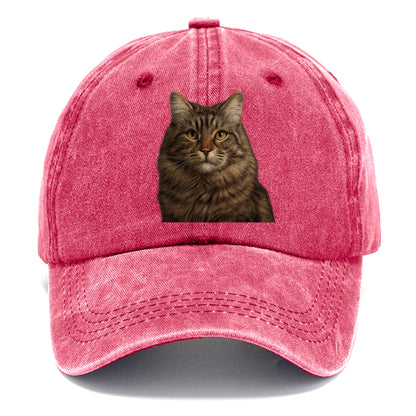 maine coon majestic feline Hat