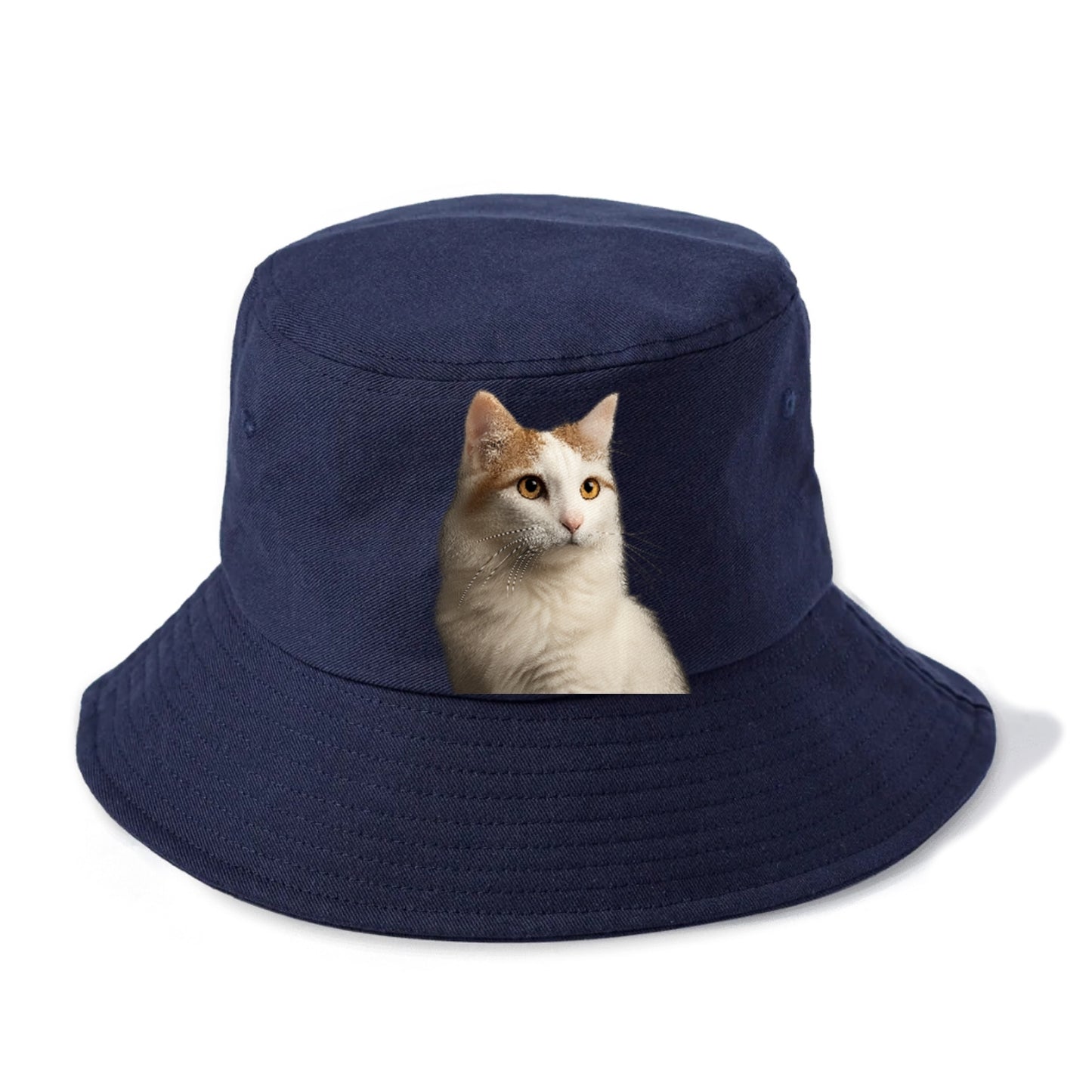 turkish-van-aquatic-elegance Hat