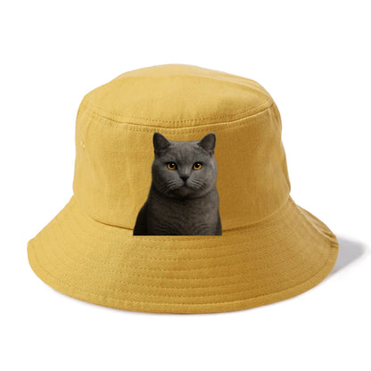 british shorthair dignified charm Hat
