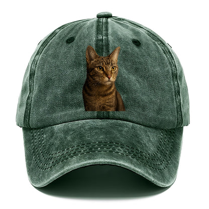 playful-cat-playful-spirit Hat