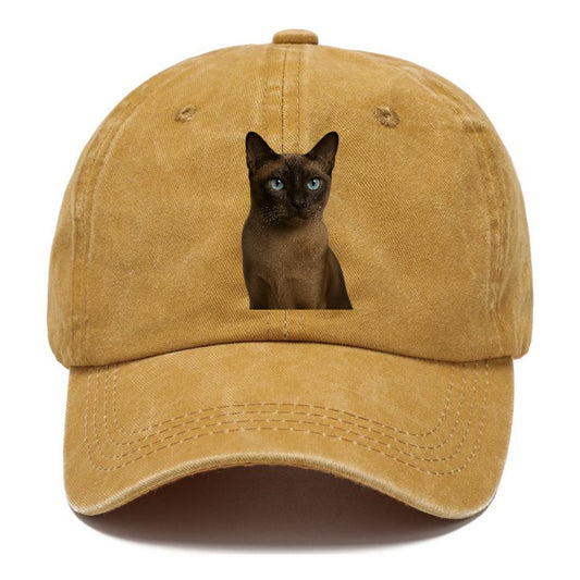 tonkinese-playful-spirit Hat