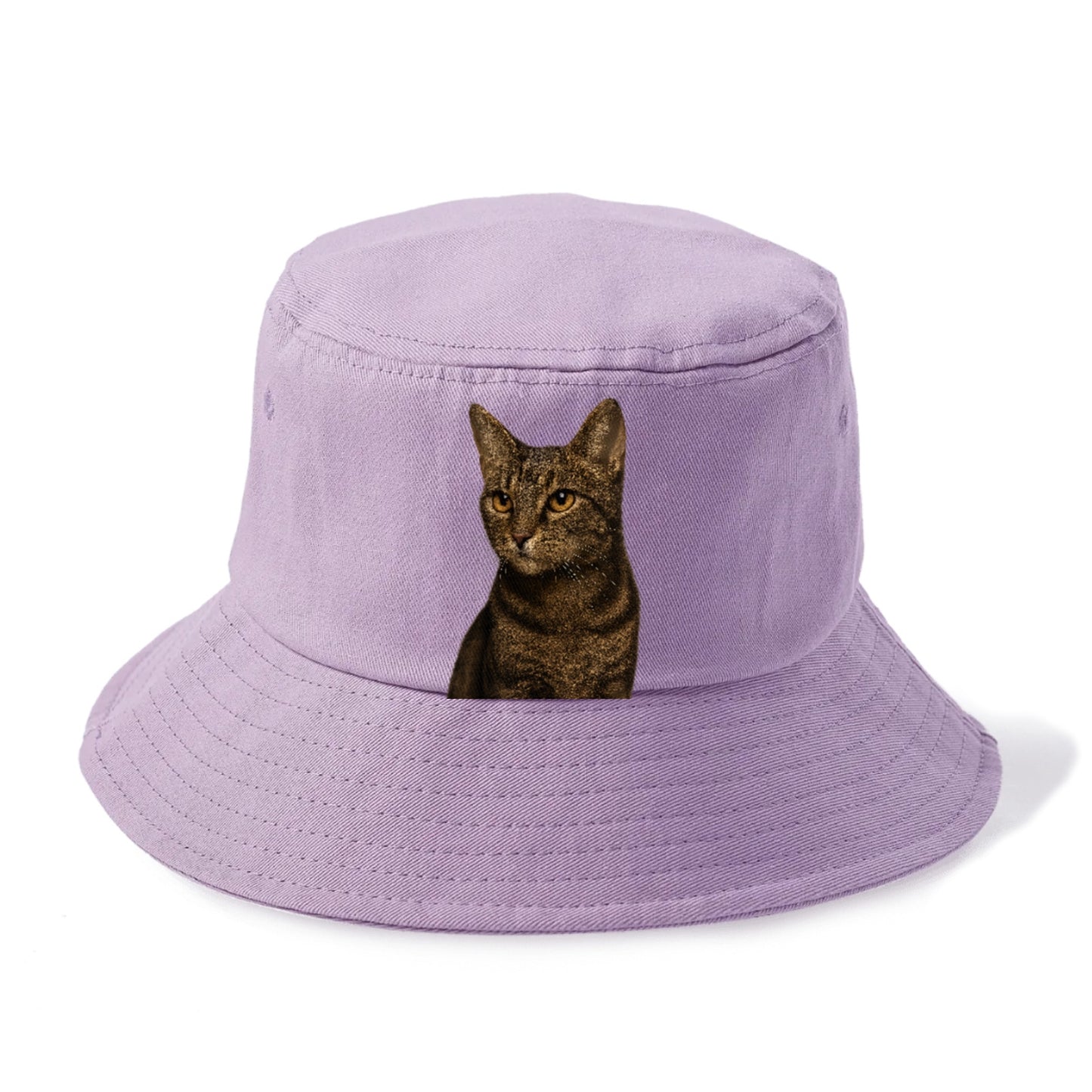 alert-cat-ready-radiant Hat