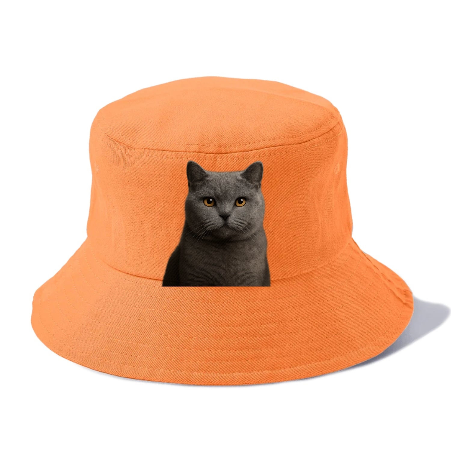 british shorthair dignified charm Hat