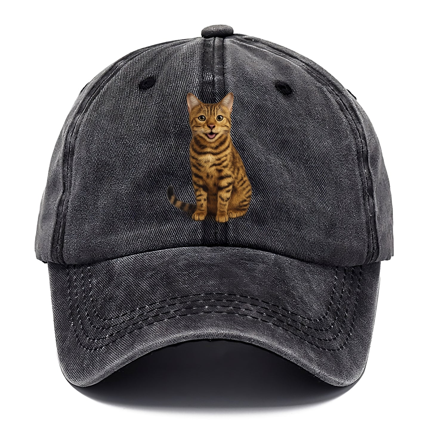 whiskered wonders Hat