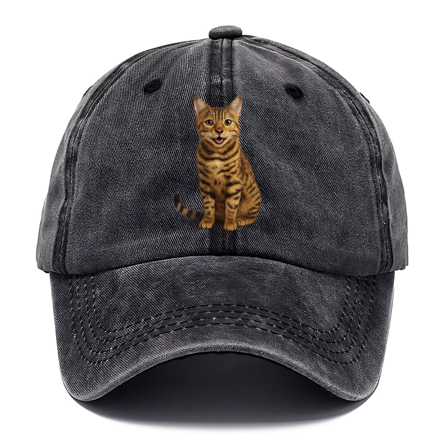 whiskered wonders Hat