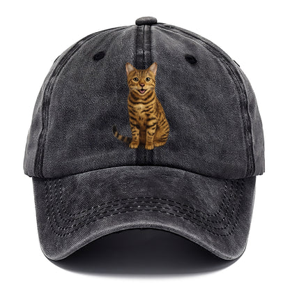 whiskered wonders Hat