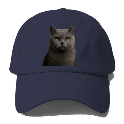 british shorthair dignified charm Hat