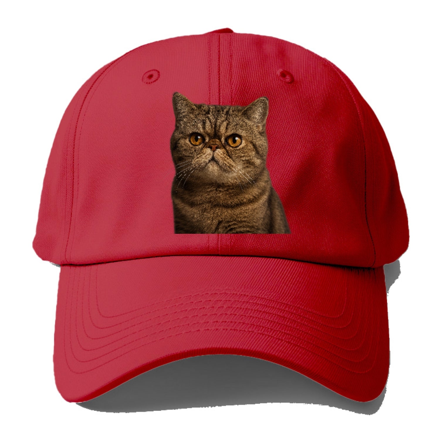 exotic-shorthair-charm Hat