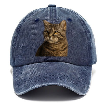 american-wirehair-unique-texture Hat