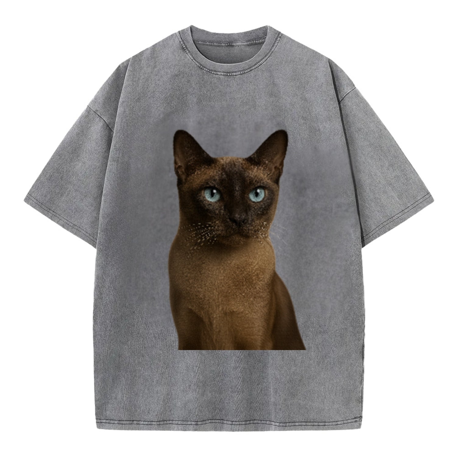 tonkinese-playful-spirit Hat