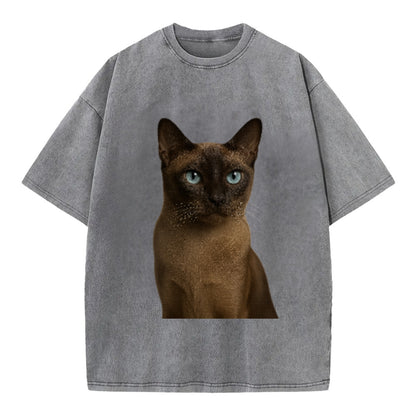 tonkinese-playful-spirit Hat