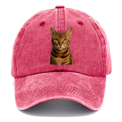 bengal cat portrait design Hat