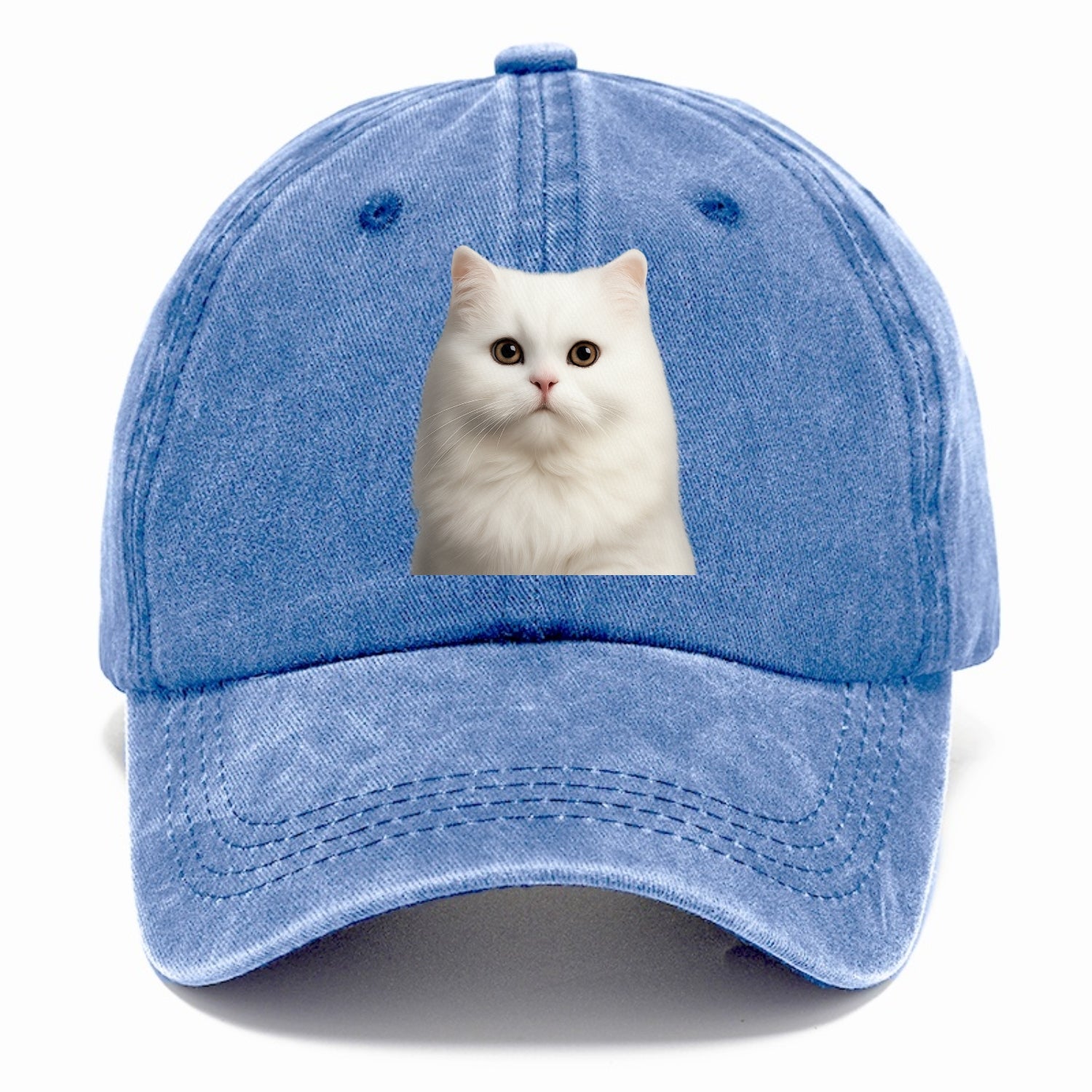 persian cat royal elegance Hat