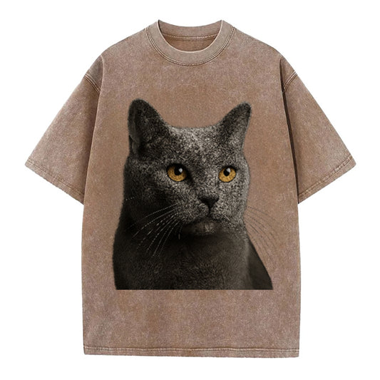 chartreux-quiet-grace Hat