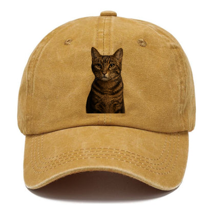 brown-tabby-playful-spirit Hat