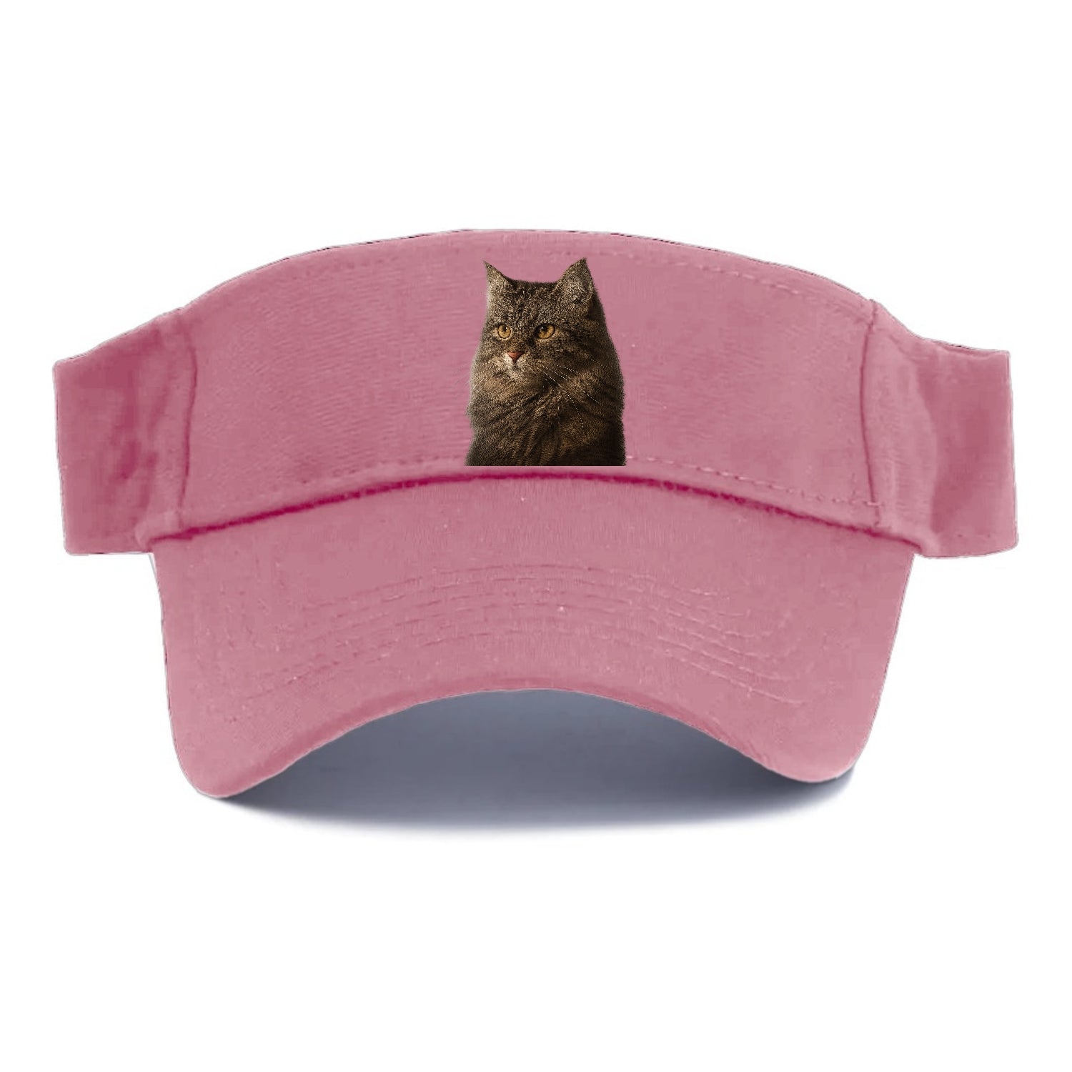 domestic-longhair-graceful-charm Hat