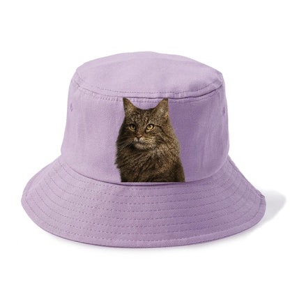 norwegian-forest-cat-wilderness-spirit Hat
