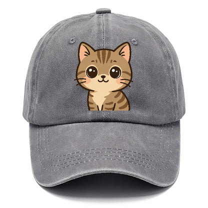 domestic-shorthair-playful-spirit Hat